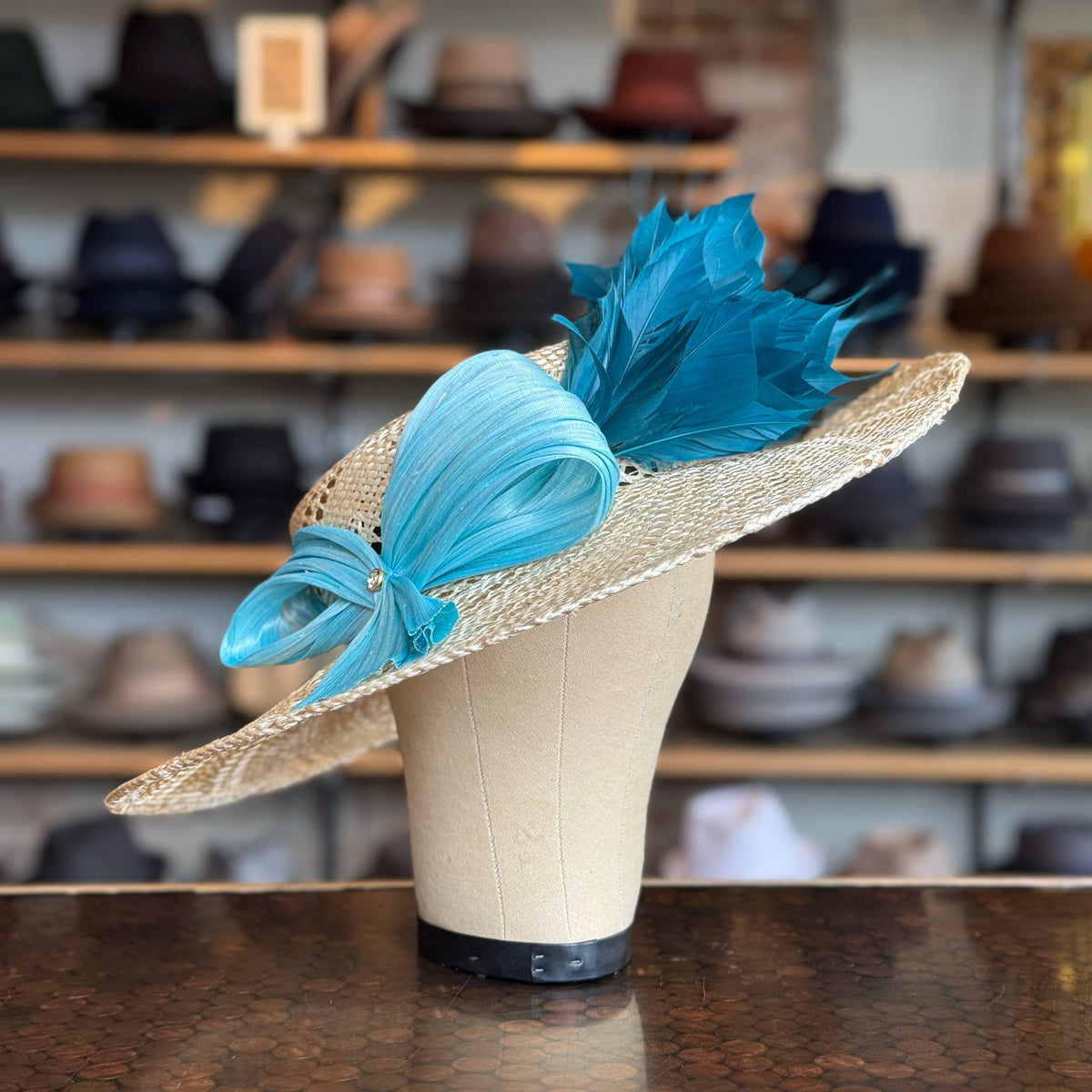 Fifi Fascinator - Vibrant Two-Tone Lightweight Kentucky 