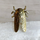 Cicada Ring
