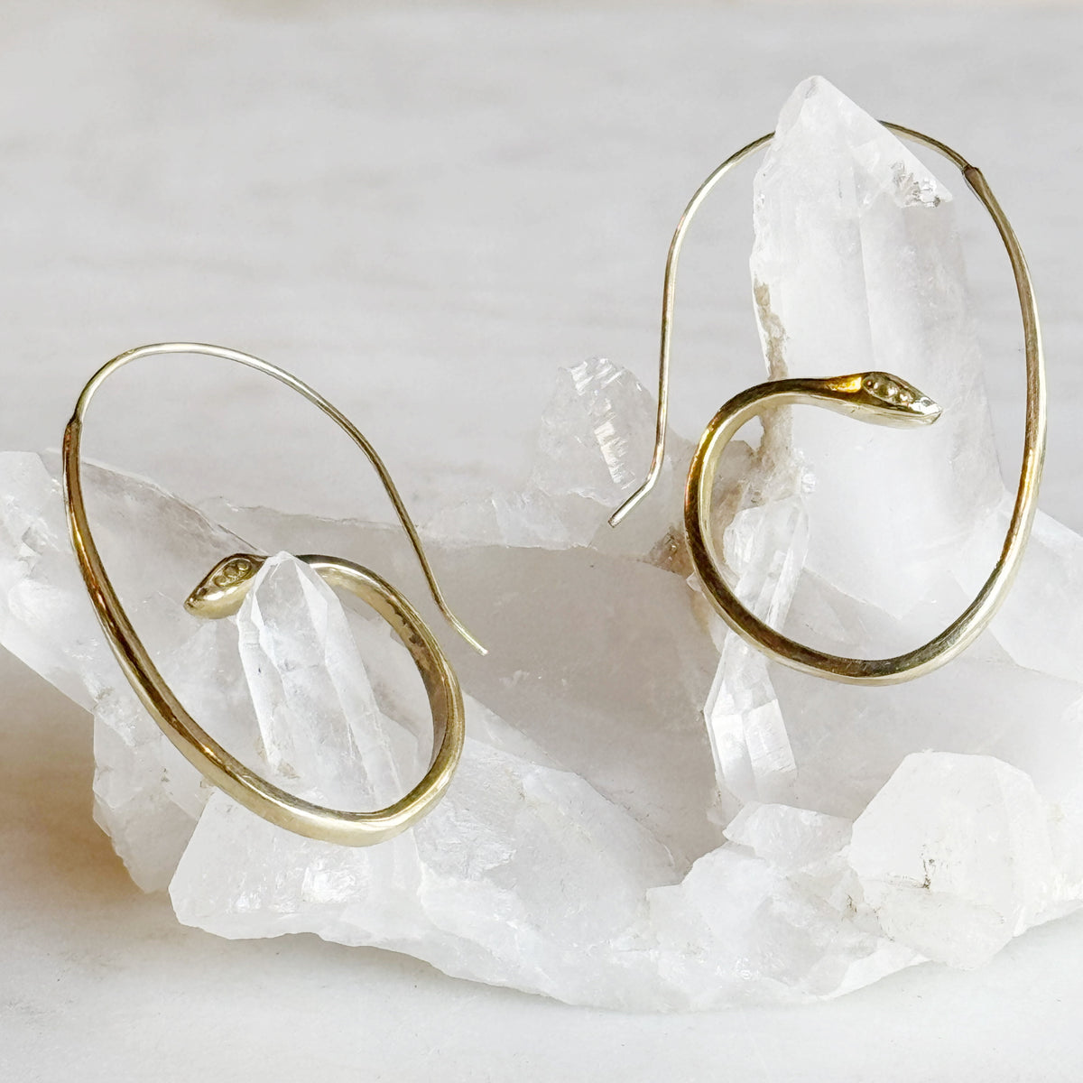 Curled Snake Earring
