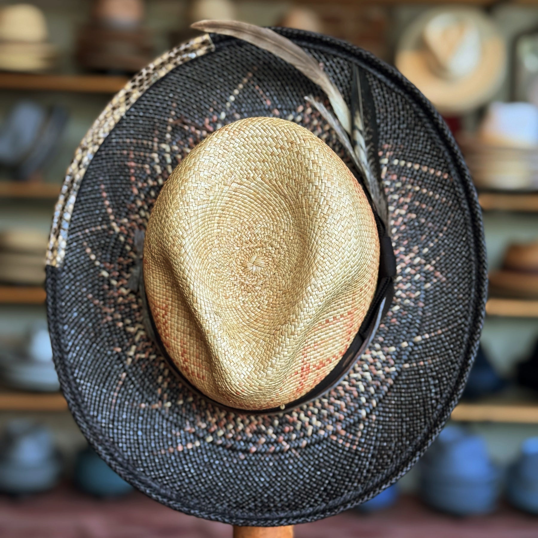 Dark Star Mel Fedora
