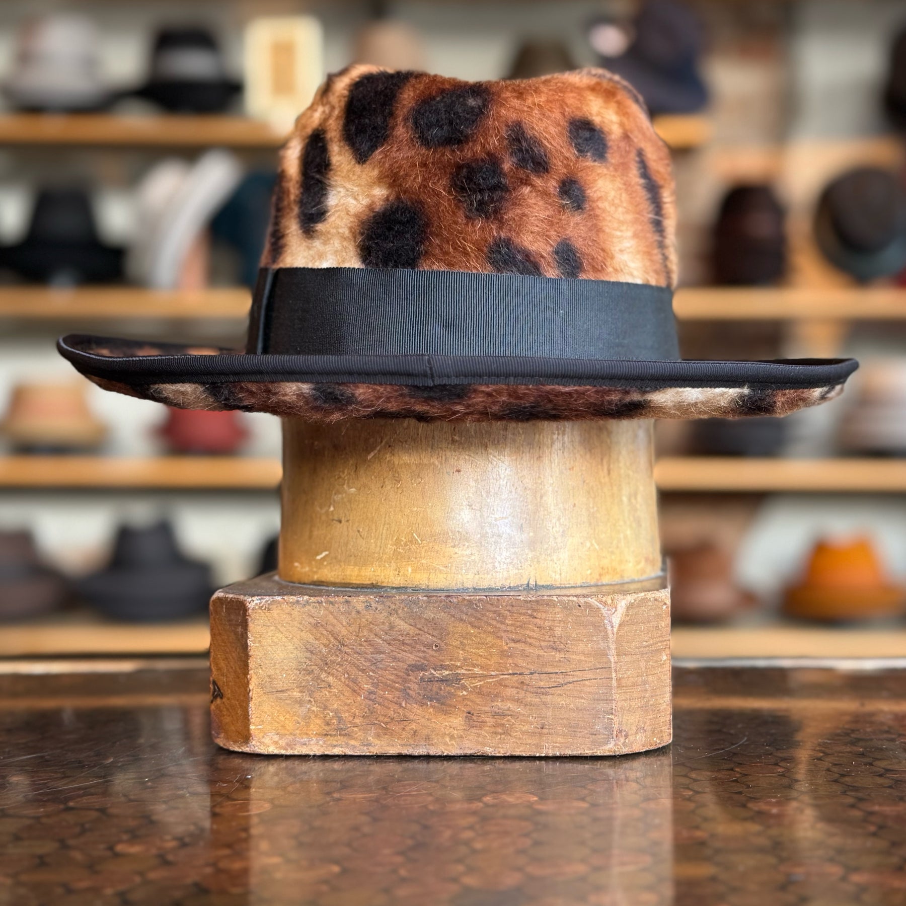 Diplomat Beaver Finish Fedora