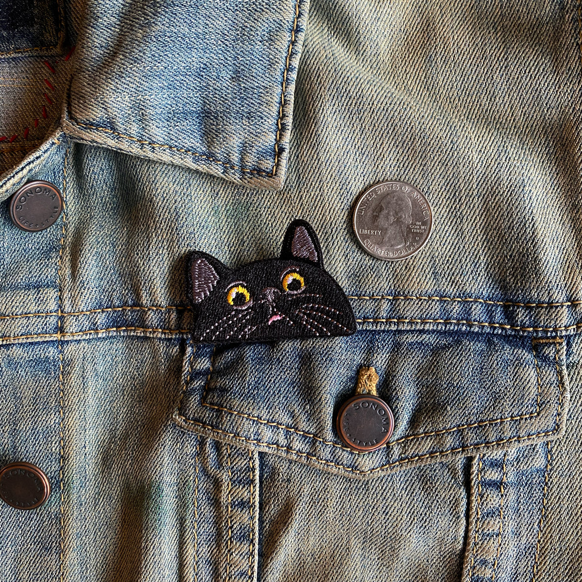 Pocket Kitten Patch