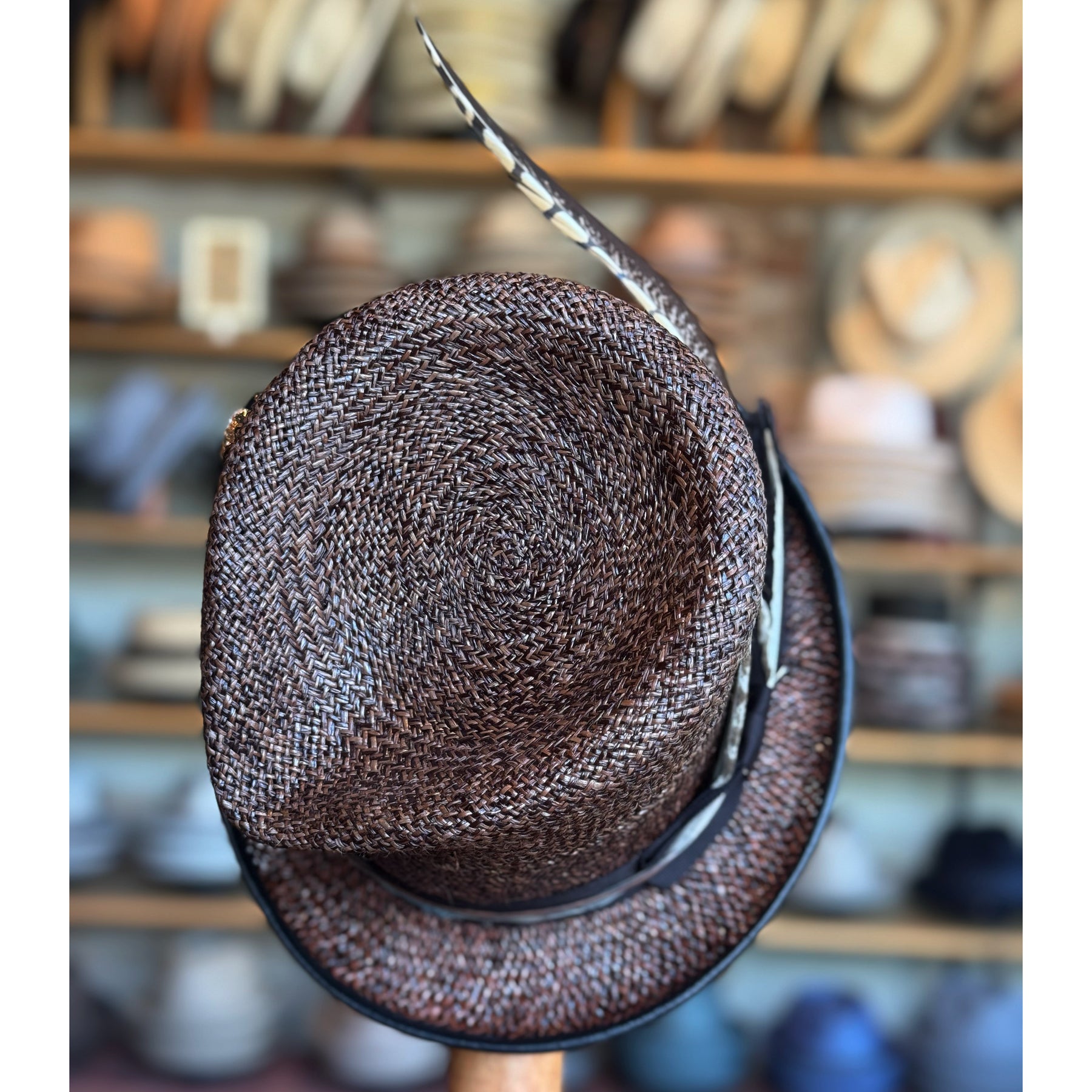 Pacamara Top Hat