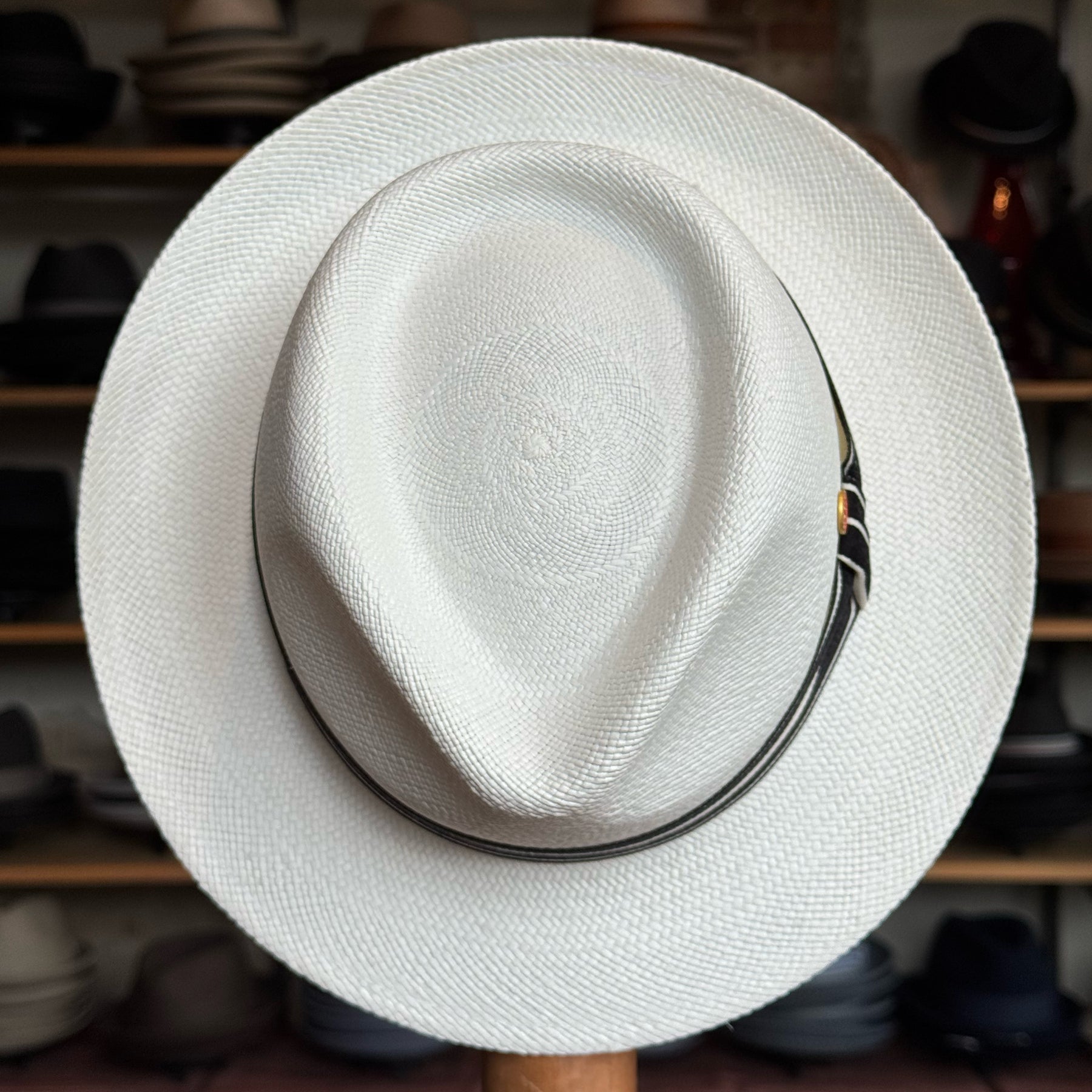 Panama Maleo Fedora