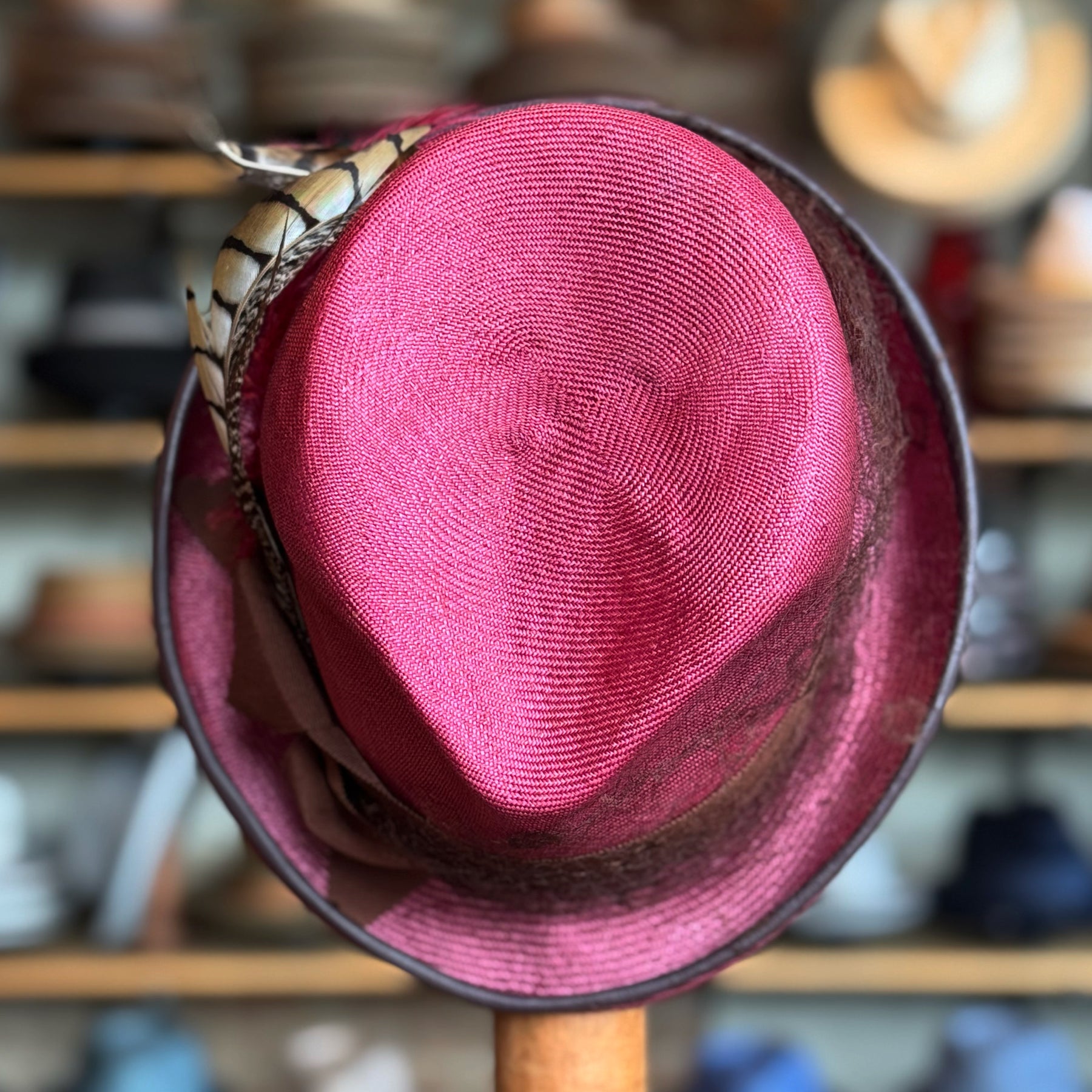 Raspberry Dandy Fedora in vibrant reddish-pink with a decorative feather accent, showcasing a classic fedora shape and textured woven material.