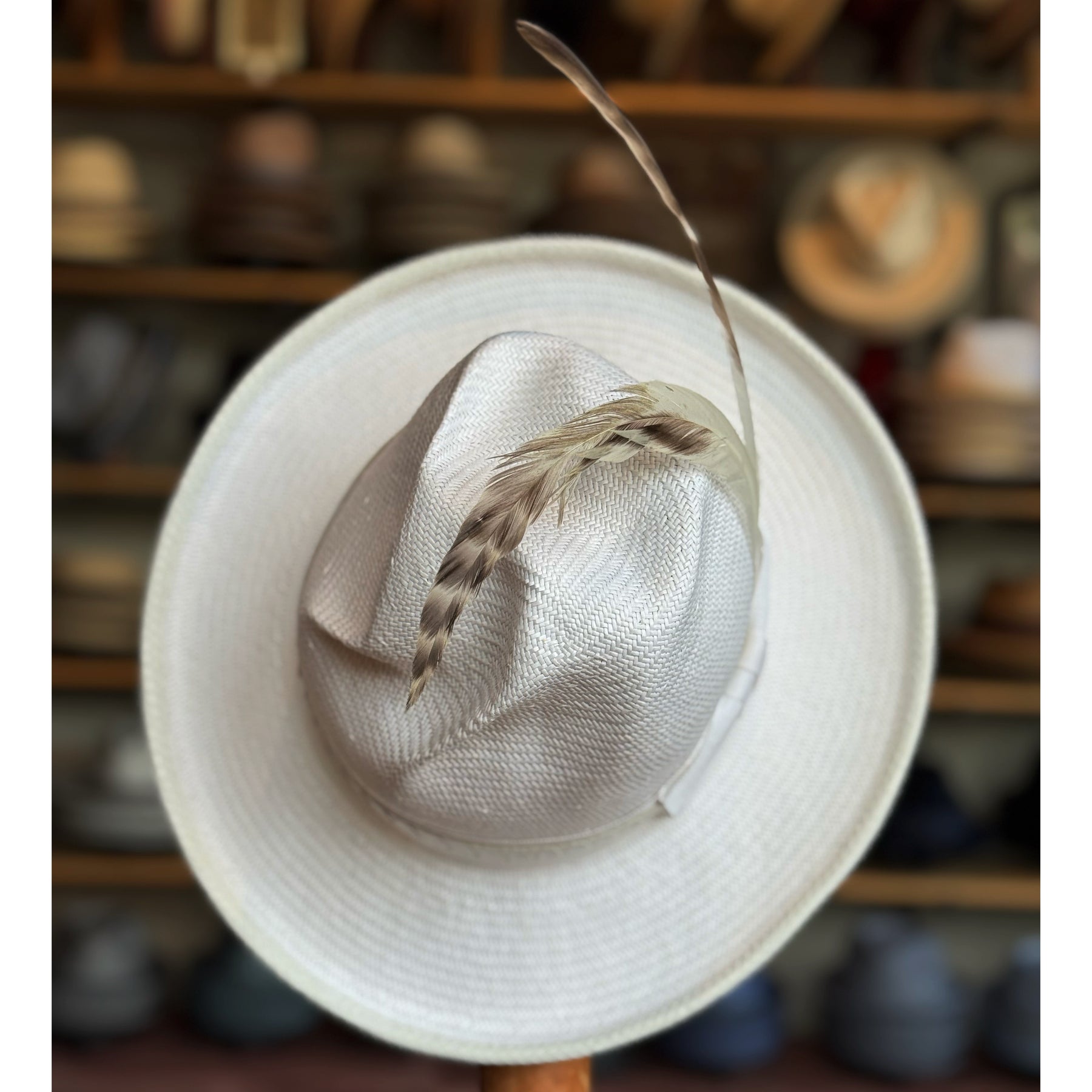 White on Rice Slouch Hat made of woven natural fibers with a wide brim and decorative feathers, displayed in a hat shop with various hats blurred in the background.