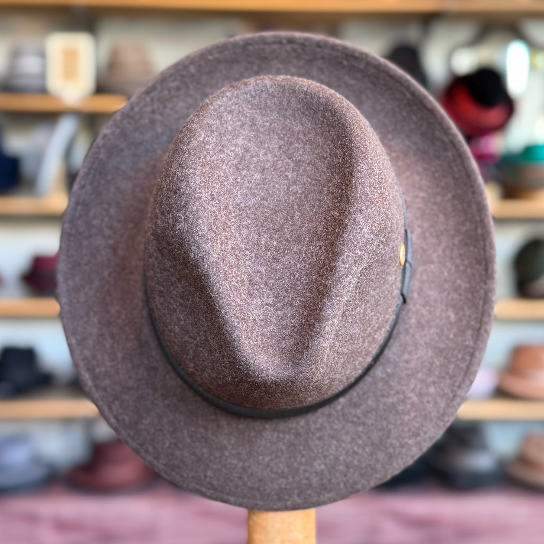 Wool Torino Fedora