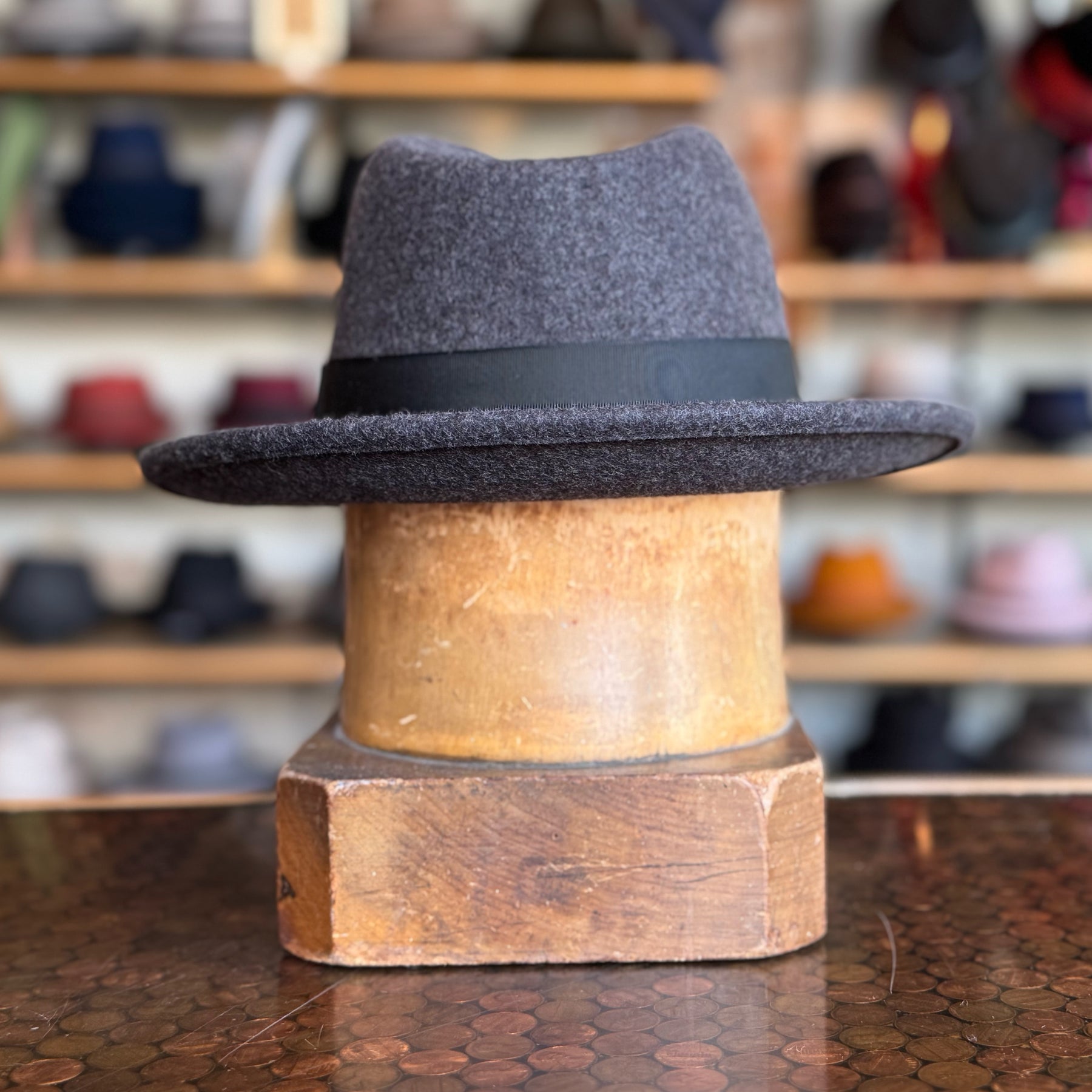 Wool Torino Fedora