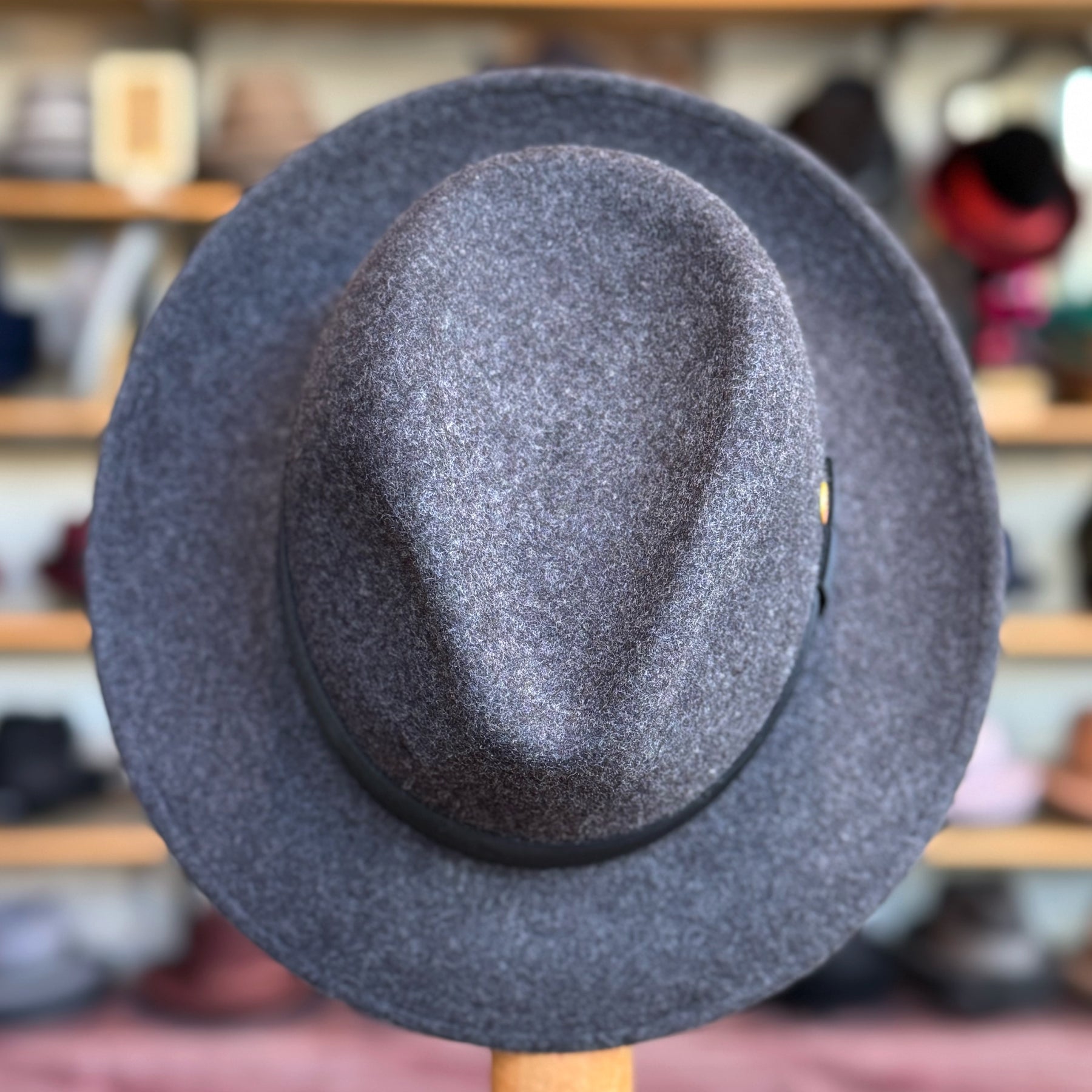 Wool Torino Fedora