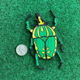Insect Patch