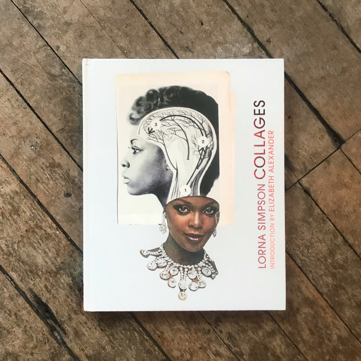 Lorna Simpson Collages