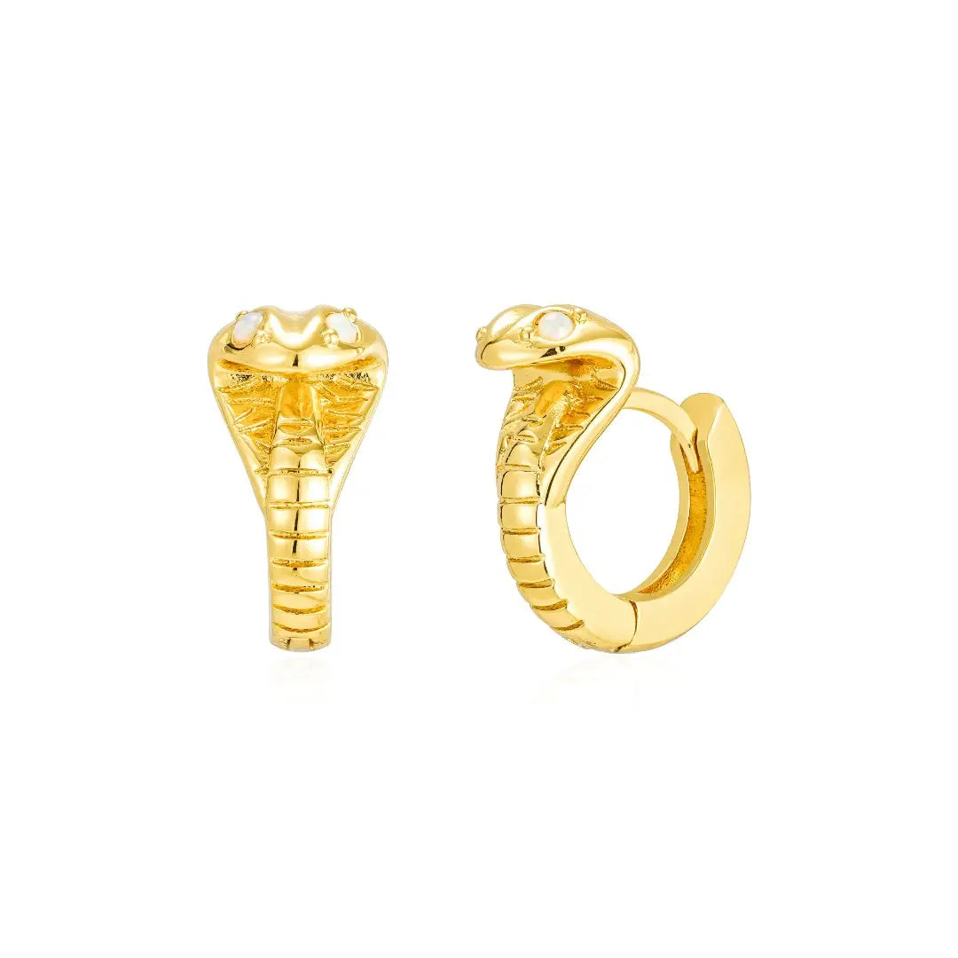 Snake Hoops