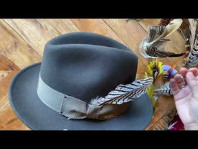 Hat Feather